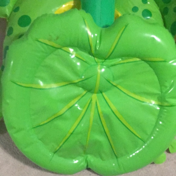 Frogged floating device for upcoming dinner or vacation - Picture 2 of 12